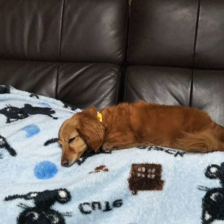 Ea1f10e4 a100 4c39 a20c 98c8acf107e7 1587187567707