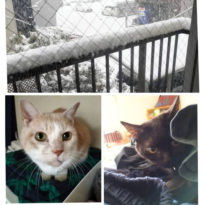 Ea1f339c 81d3 4b40 9c09 9421aa4ae3f3 1671838203184