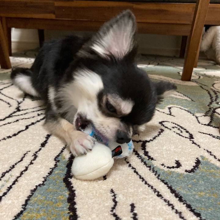 Ea1f4aa6 498c 4f7d bd0d 48d4c609b926 1627739669369