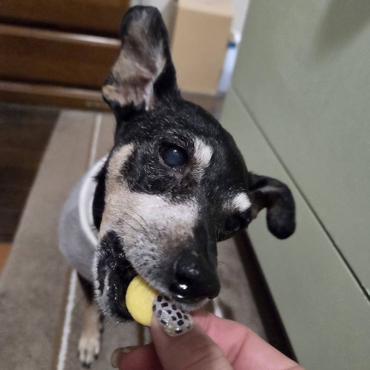 Ea1f886e 4d00 4d39 a610 e0ff3f95fffe 1766346558671