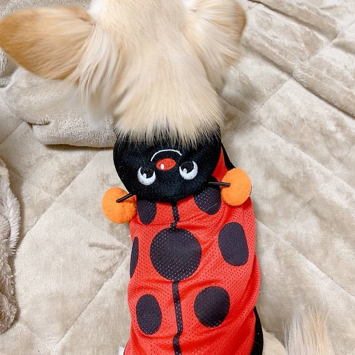 Ea1fb7f2 12ef 4e89 85f0 f9d92dd407c7 1610178060600