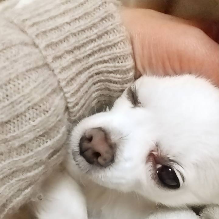 Ea1ff701 c895 4714 a82d 1a8458e3a267 1583055800737