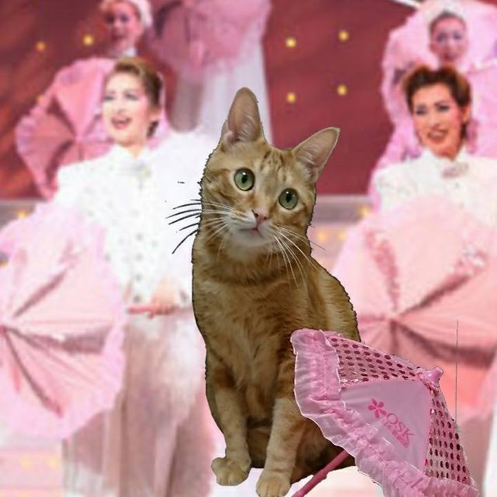 Ea202566 3819 4807 b812 436e34eefb2f 1555772092775