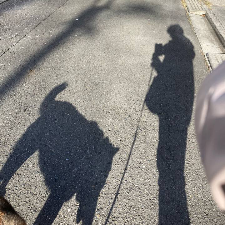 Ea202986 d8e4 4890 80a8 13378c6b2c4c 1699833963380