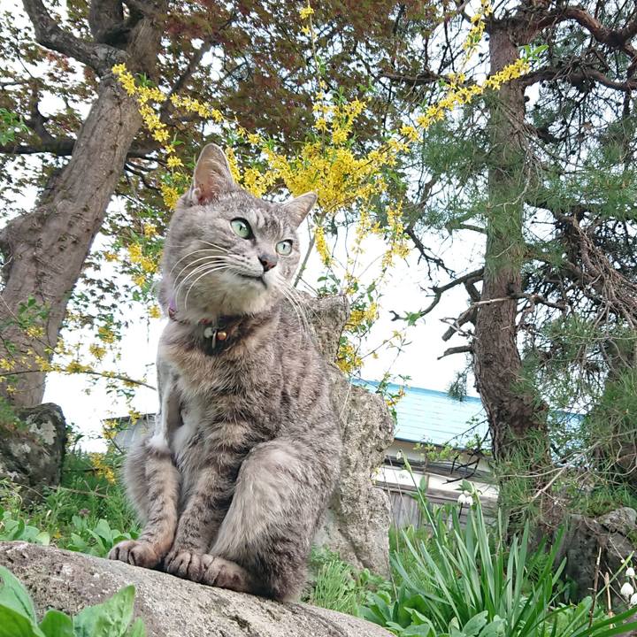 Ea202e3a e805 4b60 945f 6b4c47ed28f3 1588581992336