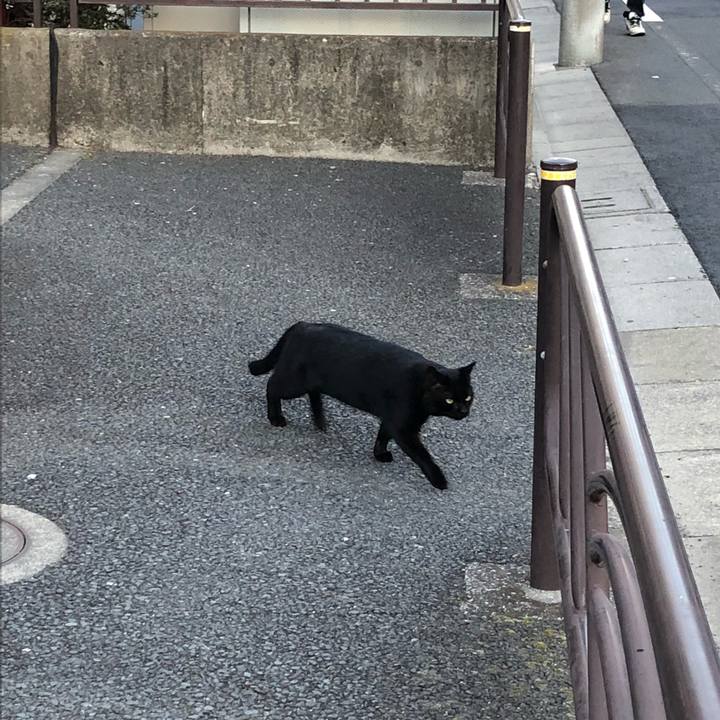 Ea203e31 d3de 4f5f afcc e2c91b59c837 1518624563982