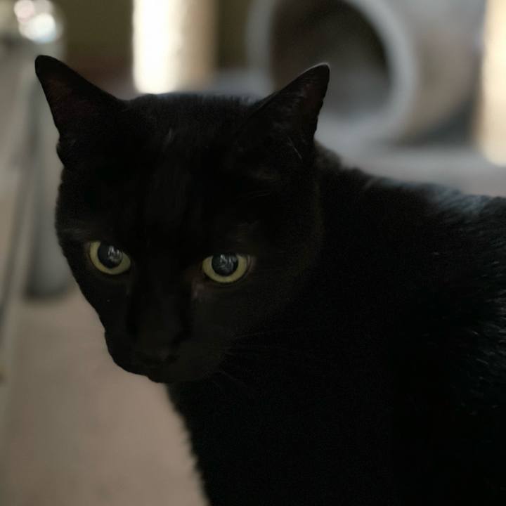 Ea205a65 b5e2 4b52 ac94 fb20062ee1b8 1638752694697