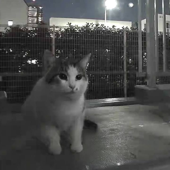 Ea205a90 4783 436b b584 03a4ff207797 1746158837296