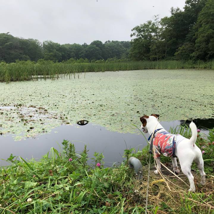 Ea205b5e 28c9 4de2 a5ee cd656e30815d 1596783661689