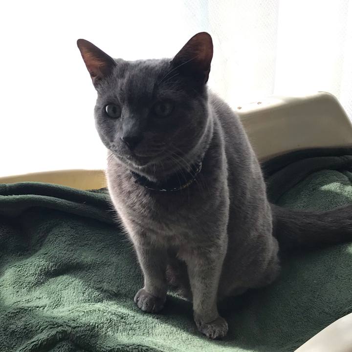 Ea20625f e8ab 4531 ade6 da61883c1649 1555551472577