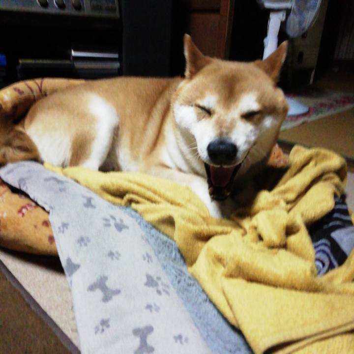 Ea206798 5f87 4344 bf54 3bb5f80beeb4 1589896270235