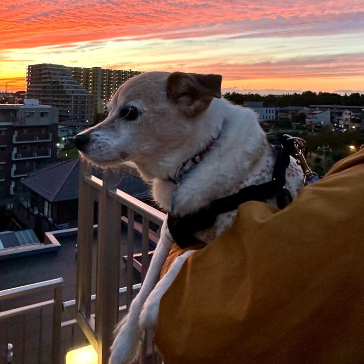 Ea208a75 94d3 44df 872f 0c06bf9dd719 1762077602980