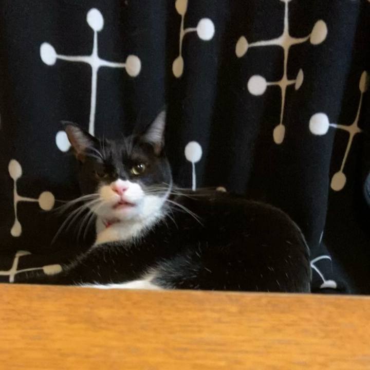 Ea20b0da 6f4c 408f 9c20 e7b1c0ae3824 1613542316185