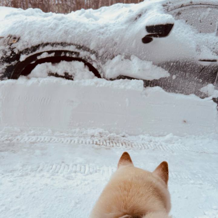 Ea20ccc3 ed4b 4e00 a6b9 01c75b58dc5a 1771459927095