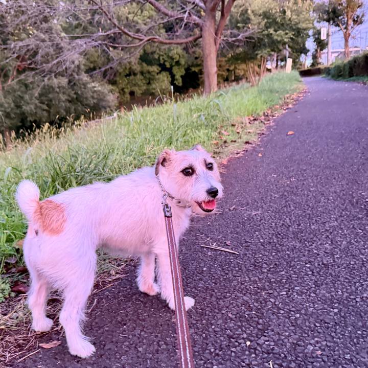 Ea20d1eb bf6c 439f 8b9f 76b3c18dd9ac 1761768974207