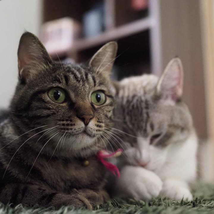 Ea20fda7 9861 4965 9398 ce97fdce6614 1629112552100