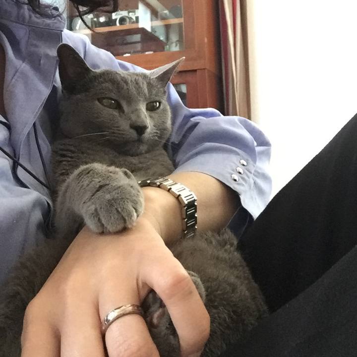 Ea21091a f9d0 41b2 9e09 e95c1e476531 1557963527948