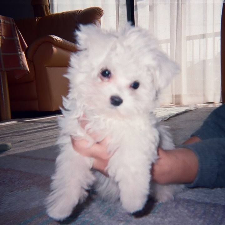 Ea21b8ef 78e4 4b9a b851 86b2eceda818 1532648598443