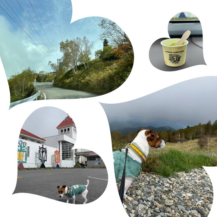 Ea2201a4 20d3 4b6c 8814 42229fa00aba 1632990184128