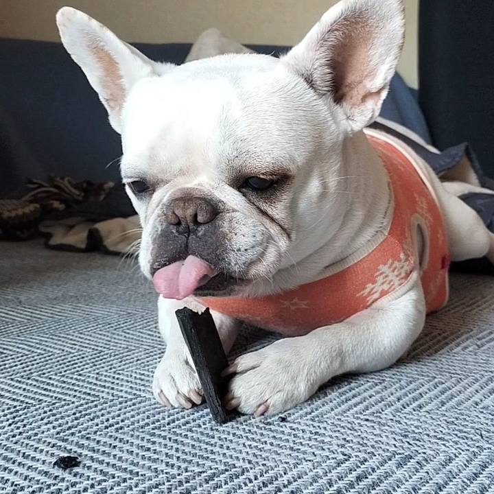 Ea22575e 0de8 495e 8c7e df6fe641aba7 1679188862572