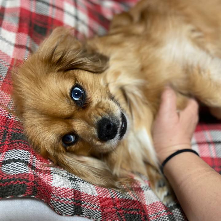 Ea229aef a462 4267 957c 261bc8f6cfbf 1580163085169