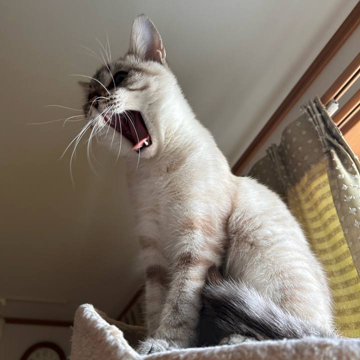 Ea22b849 cadd 4867 8f87 4ac48e6f7431 1734563607155