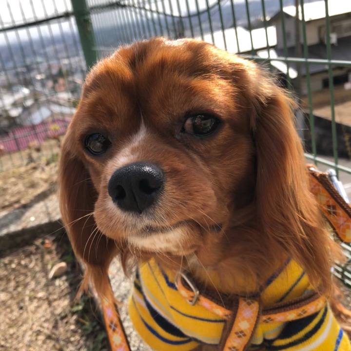 Ea22ca3a e65f 4e04 8f76 1f95def2fdd9 1548564098721