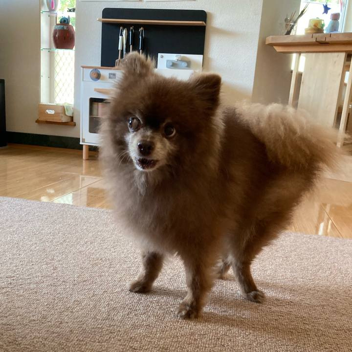 Ea22cedf a6ea 4641 841c a2ccd6b95fa9 1660171457335