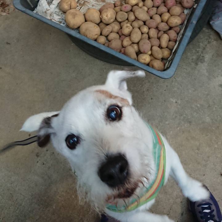 Ea22f61c c439 45d4 8214 69147dec0afd 1560554793125