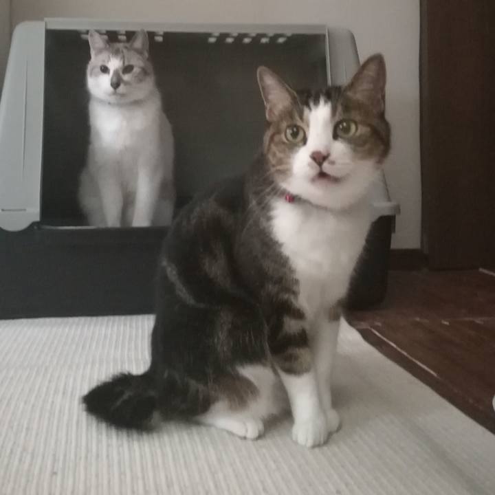 Ea2320bf bec2 450c bdbe 20ee98595c17 1568106114118