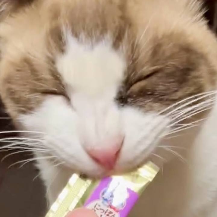 Ea2322ef cf3d 405b b845 2a29d235894b 1728984217499