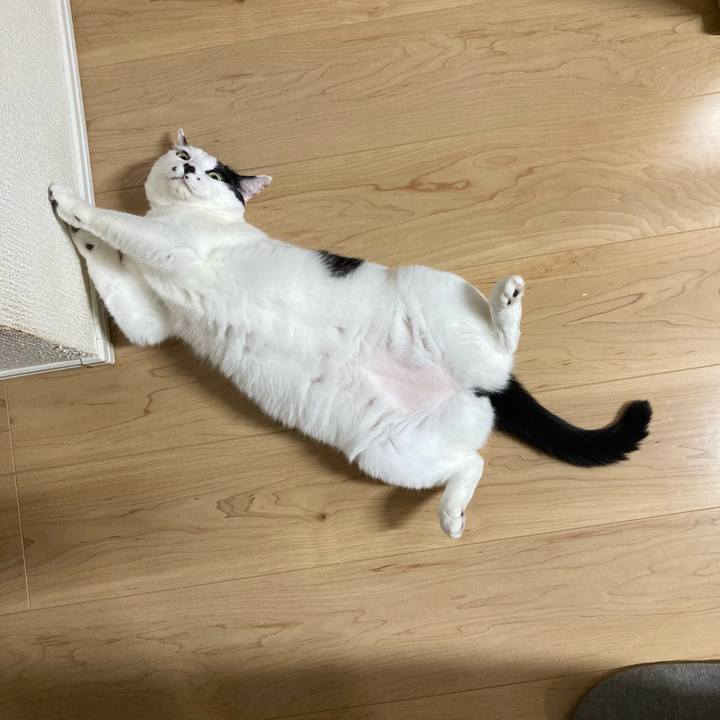 Ea233052 501b 4085 9c4f 3333dfc29158 1763389833494