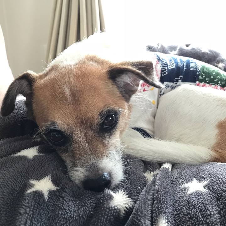 Ea234268 27c4 402b b578 c8a526aec077 1540022894785