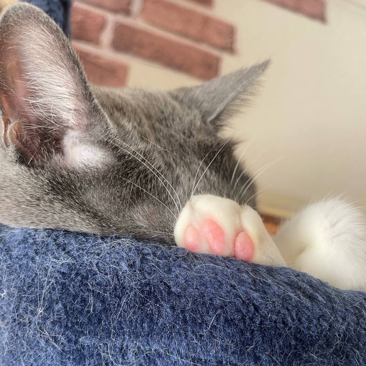 Ea236456 31c0 44ea 9a6b 28d286667325 1700367207297