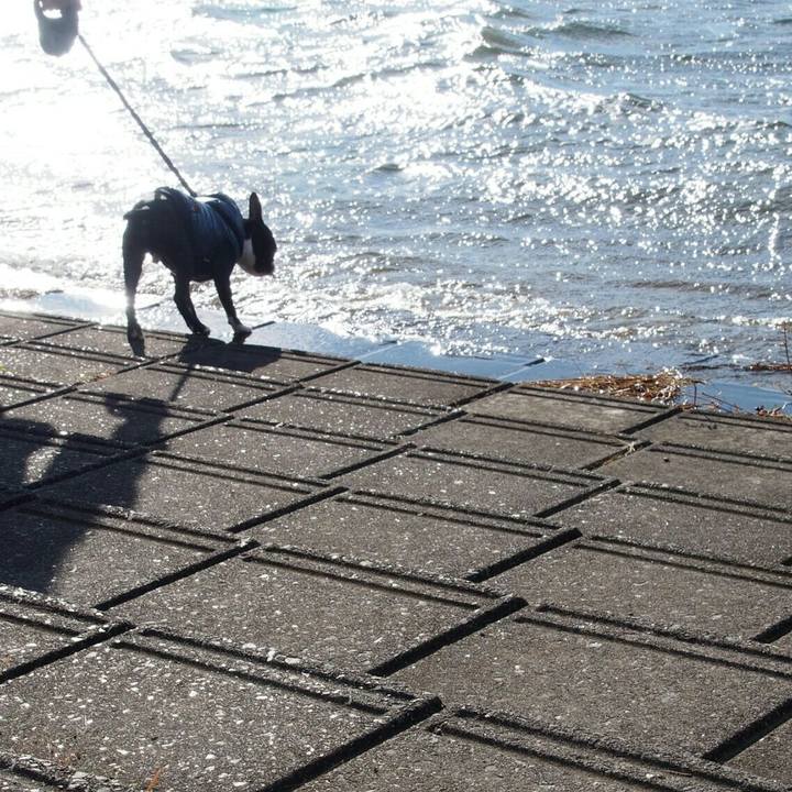 Ea23754d 4962 4f4b b555 0d699b8bc657 1513491847828