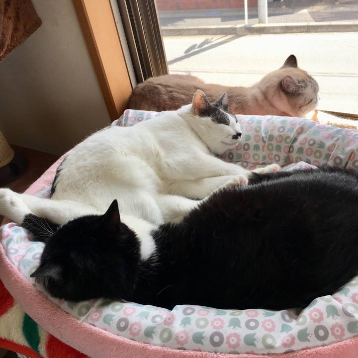 Ea2383e1 8593 41b6 9843 0cc2cf6b0850 1528417014444