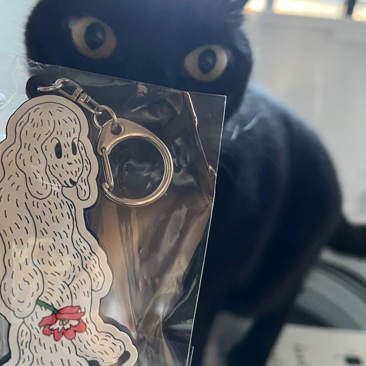 Ea23a96a 8ca5 4c98 9ab9 a40796e1a54c 1704758737350