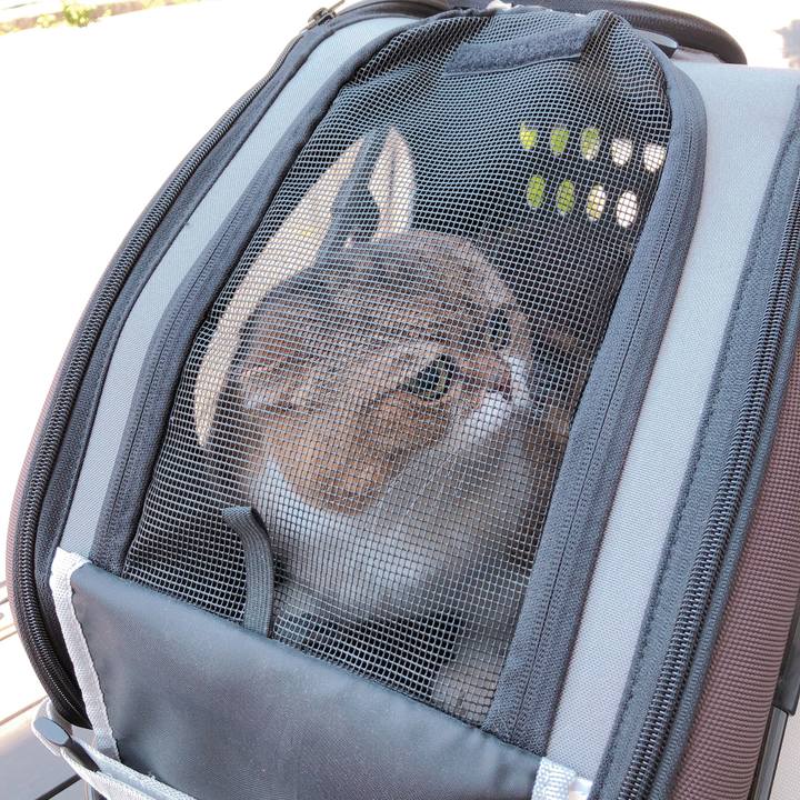 Ea23ad10 a20e 4da9 9a13 14d6a6a3d5fc 1557804712703