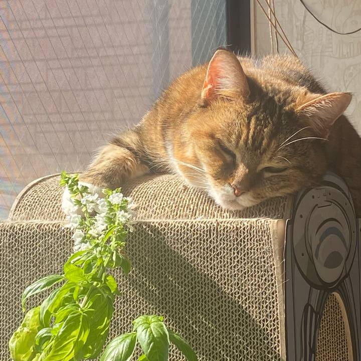 Ea23ba24 1b2e 4957 a24c d96c9d7cb301 1708741515518