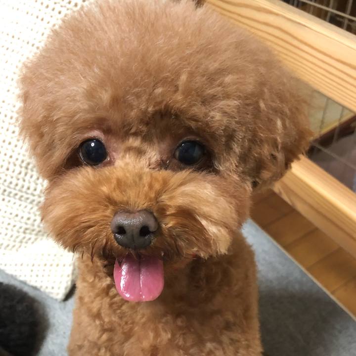 Ea23d0ae 4792 45cd 8f8d 6a2c69c886a1 1594553153087