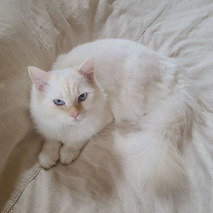 Ea23e58c f051 4596 9093 c0d07a73d76f 1665550341841