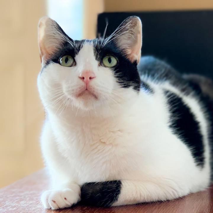 Ea23ea2d 3986 4375 8547 a68c10548a49 1601948866114