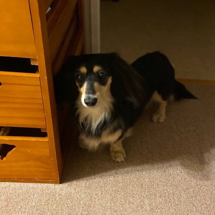 Ea23f69f ff8a 4be9 ad05 1494d47a1e0b 1709980107488