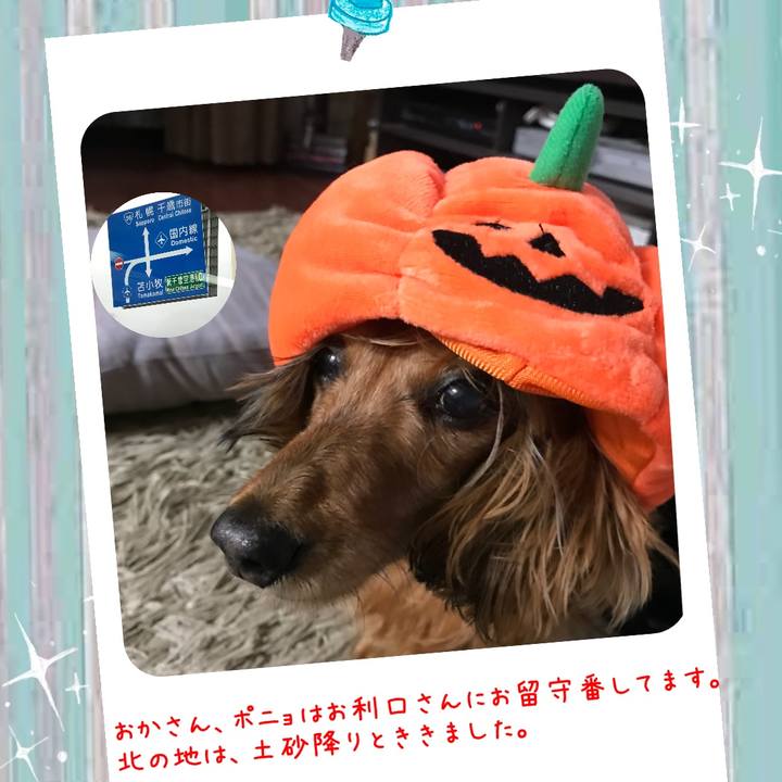 Ea242afd 7b4f 4c41 a345 8474ac677e3f 1540955538269