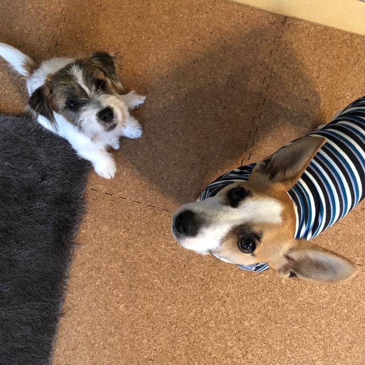 Ea242be6 be9a 4b9a b49b f126f47249e6 1575330357256