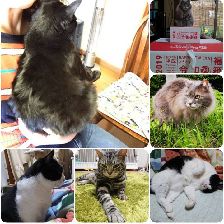 Ea2437ba 4b13 4c0a ad3c 8921e5bf4fb0 1556778752348