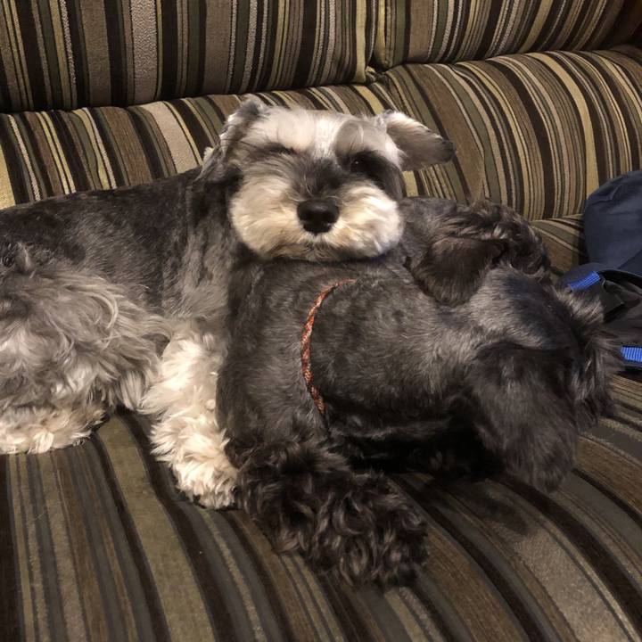 Ea244243 c294 4c37 bd09 e65d4ecee339 1557843782587