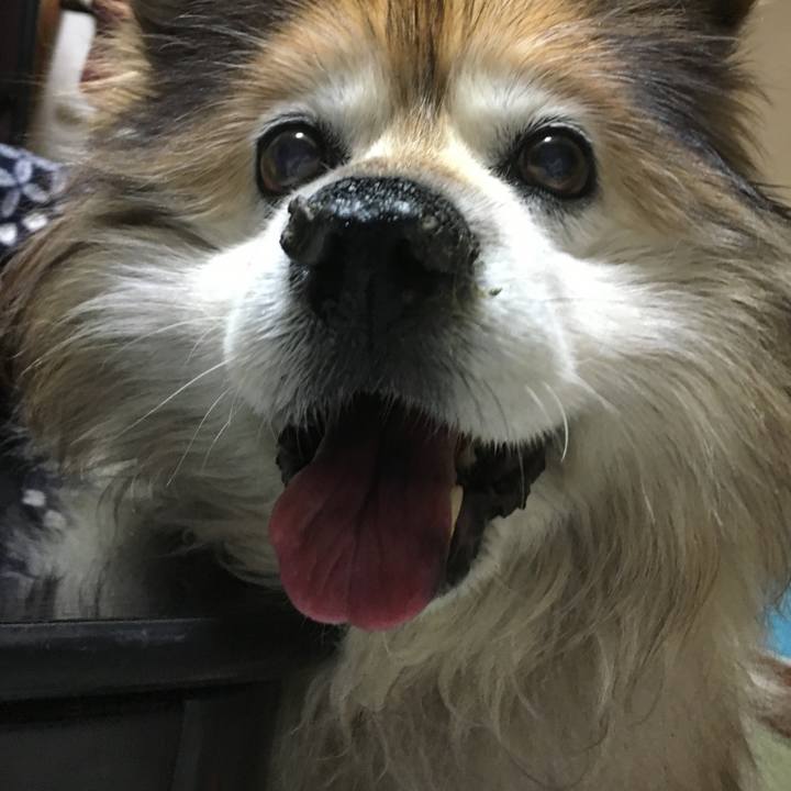 Ea246932 b168 4004 af83 63c2df65a0cf 1571907249617