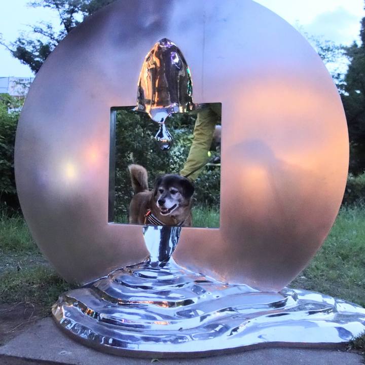 Ea247c7e ad7a 4f8d 82b8 497dc708f523 1668991741374