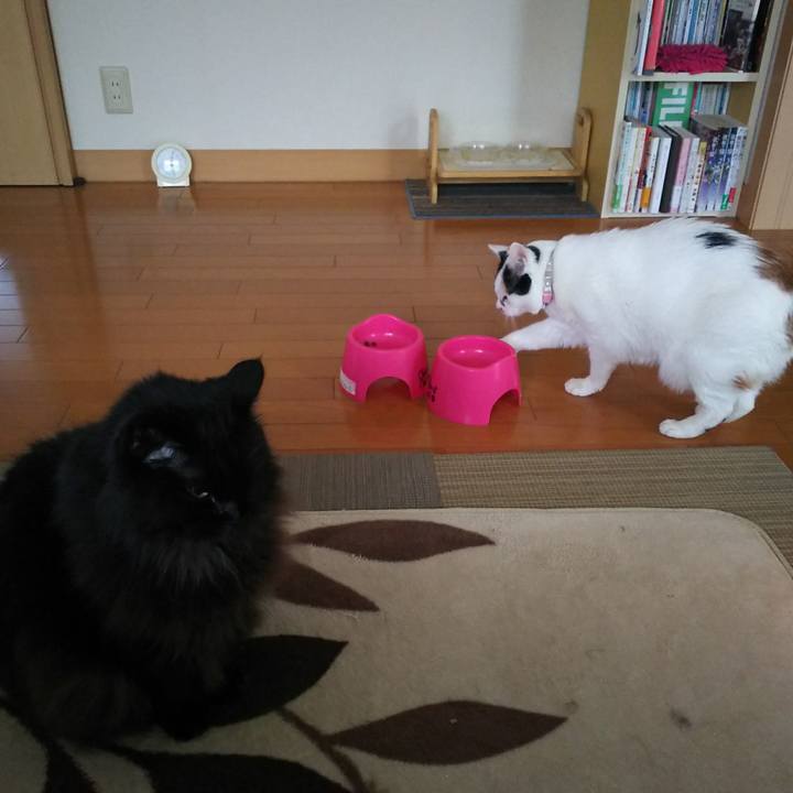 Ea24993a 1355 4001 b1a3 d37fe7569150 1574465034789